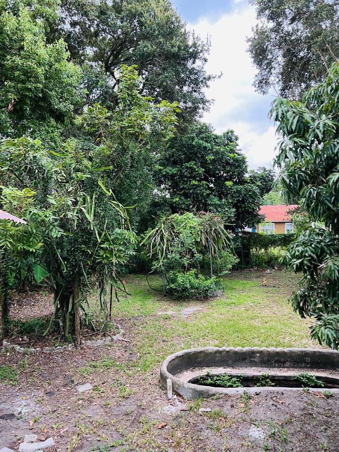 3Bdrm Fruit Tree Home Near Downtown אורלנדו מראה חיצוני תמונה