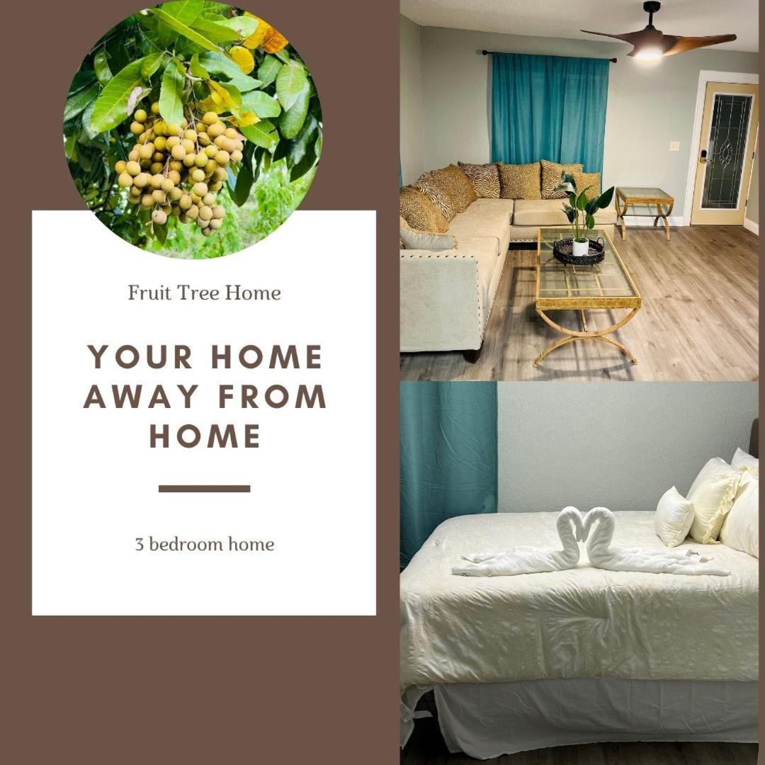 3Bdrm Fruit Tree Home Near Downtown אורלנדו מראה חיצוני תמונה